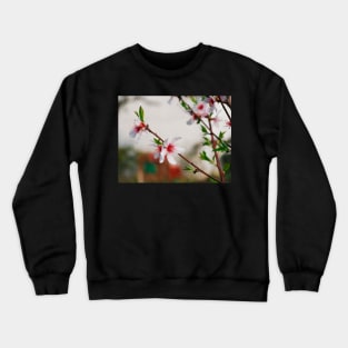 Almond Blossom Crewneck Sweatshirt